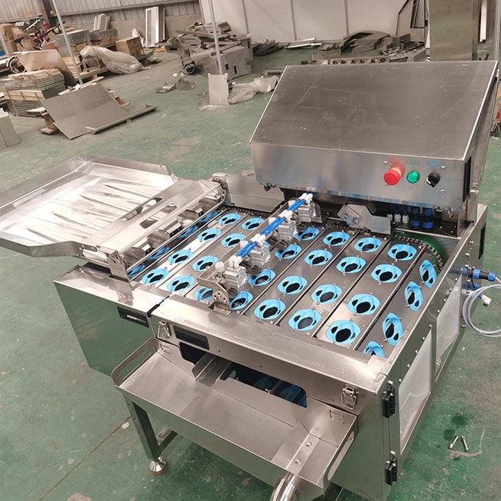 Automatic Eggshell And Egg Yolk Separating Machine