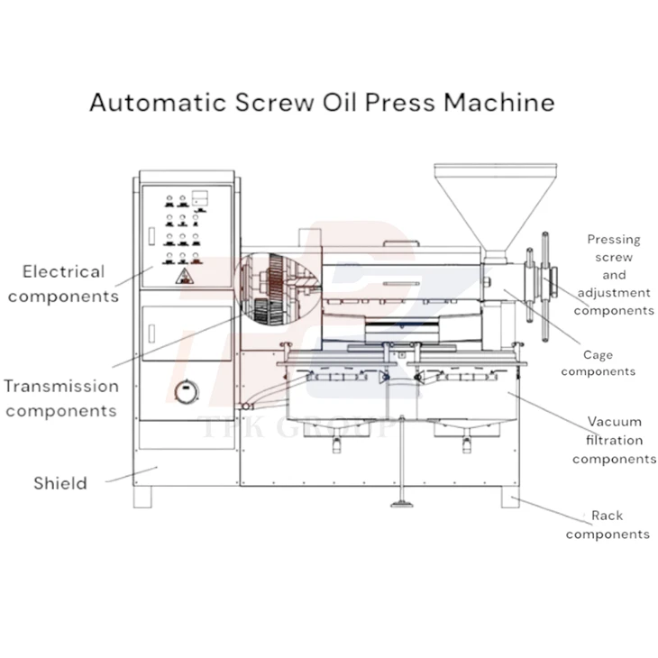 Automatic Screw Oil Press Machine