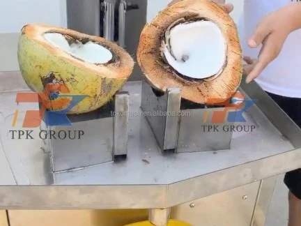 Coconut Half Cutting Machine (3)