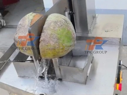 Coconut Half Cutting Machine (5)