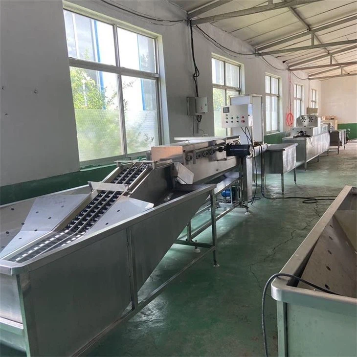 Egg Washing Machine high quality