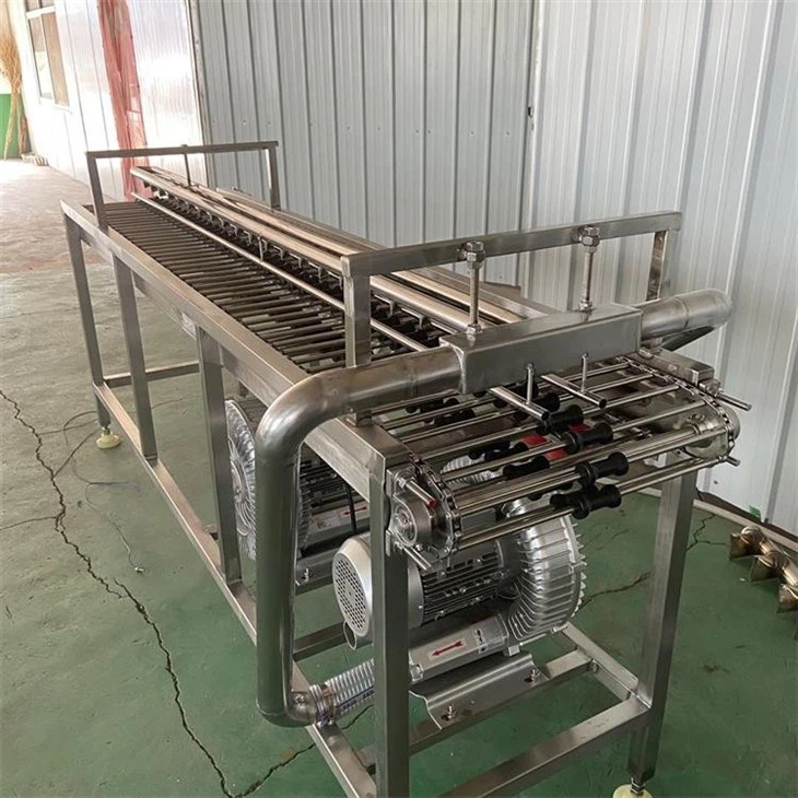 Egg Washing Machine factory