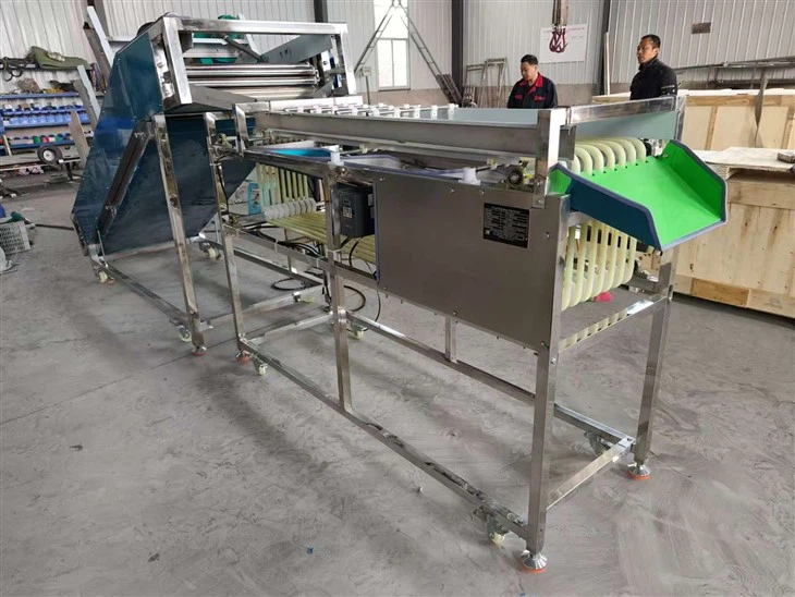 Multifunctional Pathway Fruit Size Grading Machine