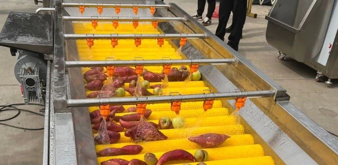 Parallel Brush Roller Apple Sea Food Washing Machine