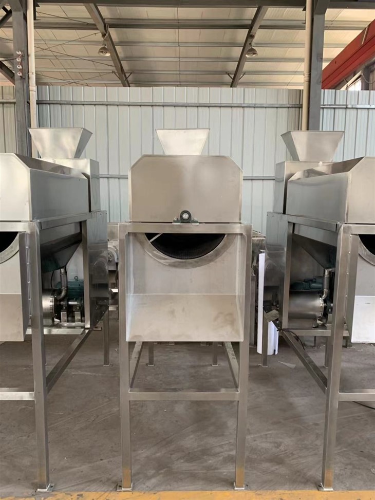 Passion Fruit Juice Machine best